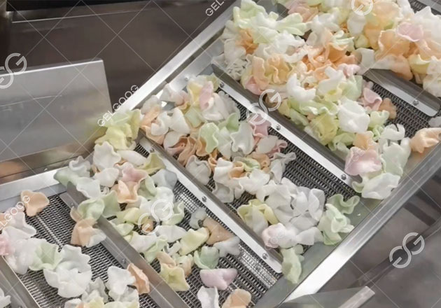 خط قلي رقائق الروبيان للاختبار في المصنع