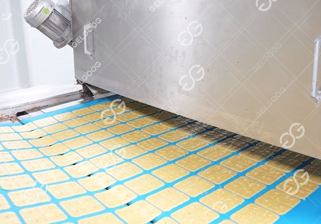 كيف تبدأ مشروعًا تجاريًا لصناعة البسكويت في المصنع؟