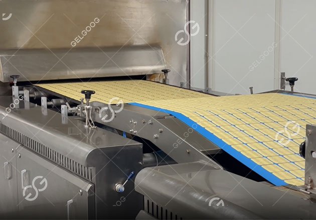 كيف تبدأ مشروعًا تجاريًا لصناعة البسكويت في المصنع؟